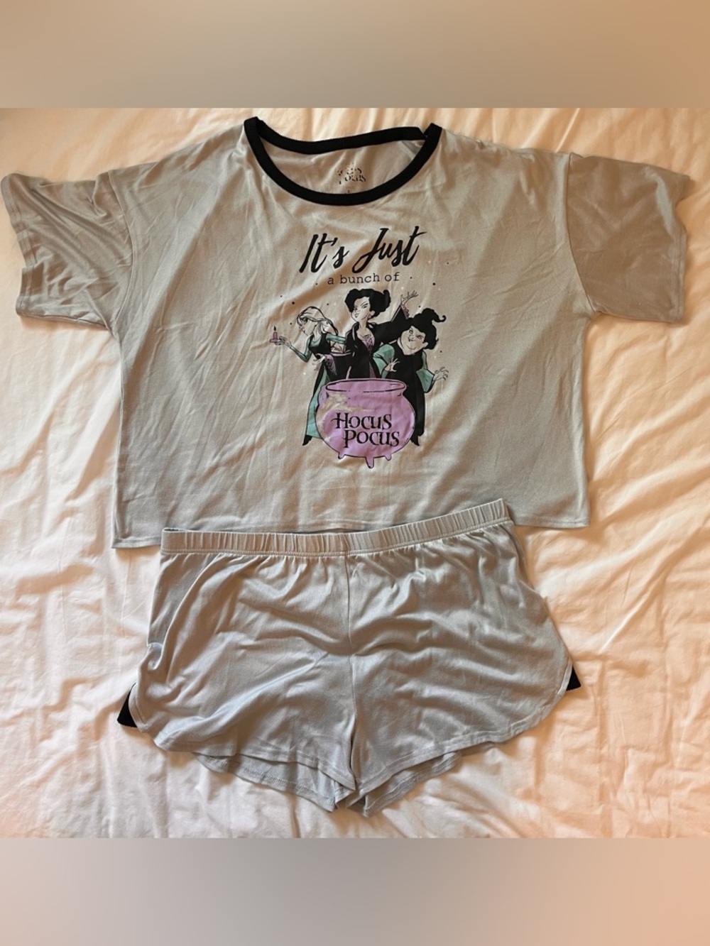 Hocus Pocus Women's Plus Size Gray Pajama Set - 2X